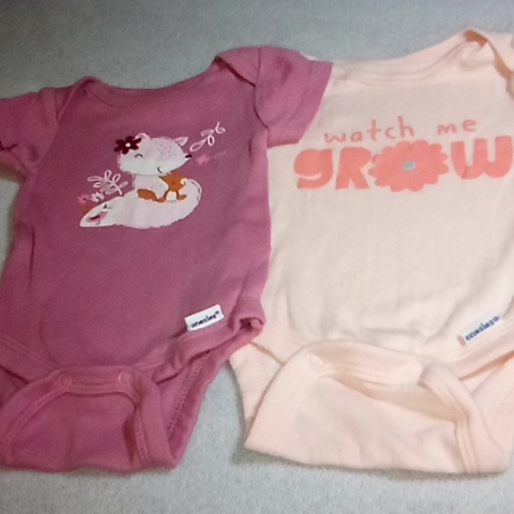 4/$20 Gerber Newborn Baby Girls Lot of 2 Onesies